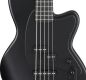 IBANEZ TMB425B-BKF TMB SERIES 5-STRING BASS GUITAR IN BLACK FLAT